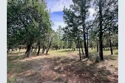5206 Starlight Drive, Happy Jack, AZ 86024 - Photo 4