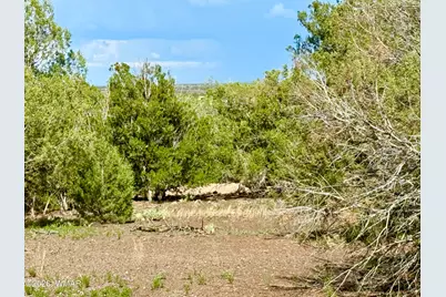 8322 Navajo Drive, Show Low, AZ 85901 - Photo 1