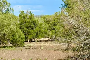 8322 Navajo Dr, Show Low, AZ 85901 - Photo 1