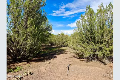 8322 Navajo Drive, Show Low, AZ 85901 - Photo 6