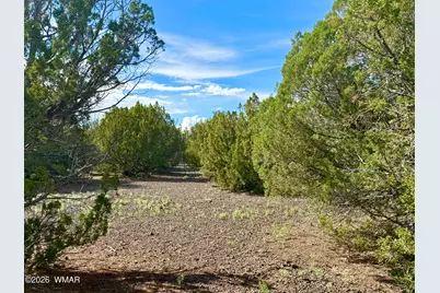 8322 Navajo Drive, Show Low, AZ 85901 - Photo 4
