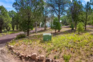 757 Jacks Wild Rd, Show Low, AZ 85901 - Photo 36