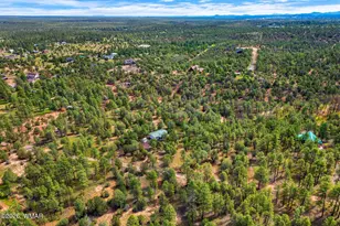 757 Jacks Wild Rd, Show Low, AZ 85901 - Photo 40