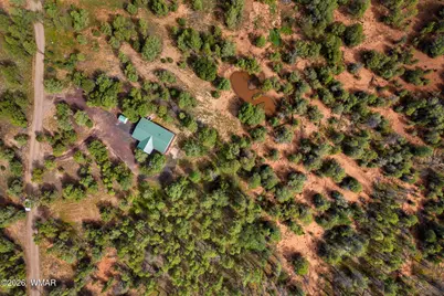 757 Jacks Wild Road, Show Low, AZ 85901 - Photo 38