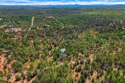 757 Jacks Wild Road, Show Low, AZ 85901 - Photo 42
