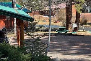 24 1120 Unit 3 (Cabins 80 &amp 81), Greer, AZ 85927 - Photo 4
