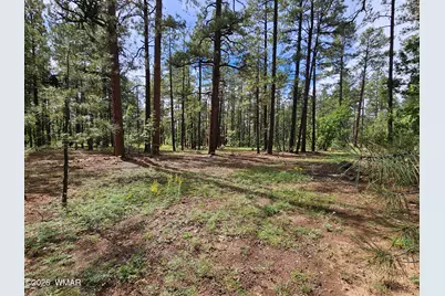 6311 Appaloosa Circle, Pinetop, AZ 85935 - Photo 8