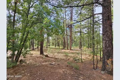 6311 Appaloosa Circle, Pinetop, AZ 85935 - Photo 1