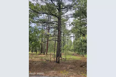 6311 Appaloosa Circle, Pinetop, AZ 85935 - Photo 6