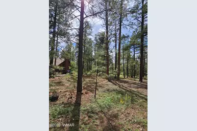 6311 Appaloosa Circle, Pinetop, AZ 85935 - Photo 10