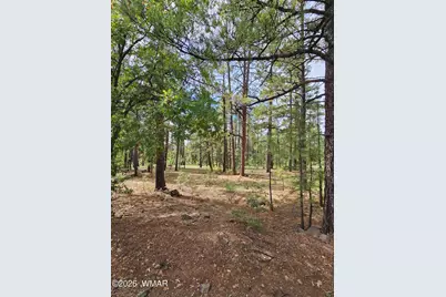 6311 Appaloosa Circle, Pinetop, AZ 85935 - Photo 2