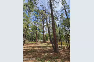 6311 Appaloosa Circle, Pinetop, AZ 85935 - Photo 12