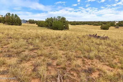 3919 Petersen Road, Snowflake, AZ 85937 - Photo 6