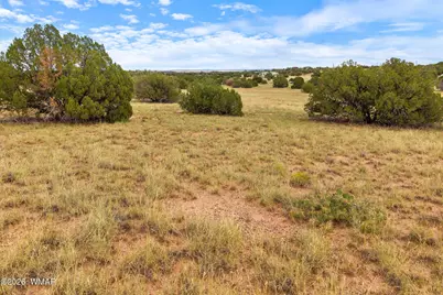 3919 Petersen Road, Snowflake, AZ 85937 - Photo 4