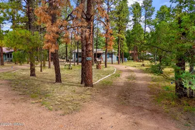 2032 Bald Eagle Court, Overgaard, AZ 85933 - Photo 28