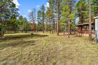 2032 Bald Eagle Court, Overgaard, AZ 85933 - Photo 4