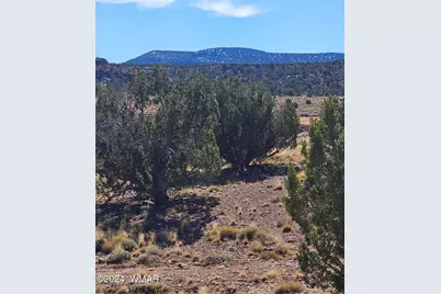 45 N 8579, Concho, AZ 85924 - Photo 6