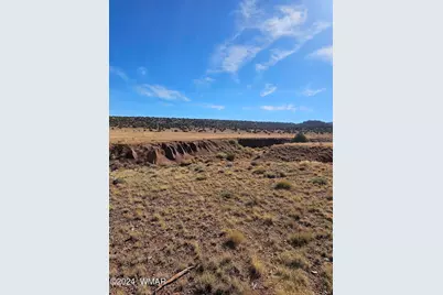 45 N 8579, Concho, AZ 85924 - Photo 4