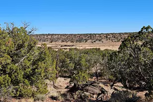 45 N 8579, Concho, AZ 85924 - Photo 1