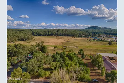 1800 S Penrod Lane, Pinetop, AZ 85935 - Photo 4