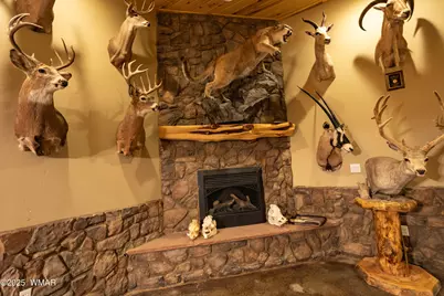 7444 Caldwell Canyon, Snowflake, AZ 85937 - Photo 50