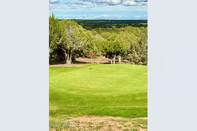 8226 Lake Front Drive, Unit 335 #335, Show Low, AZ 85901 - Photo 34