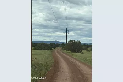 149 County Road 3149, Vernon, AZ 85940 - Photo 2