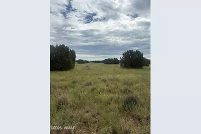 149 County Road 3149, Vernon, AZ 85940 - Photo 4