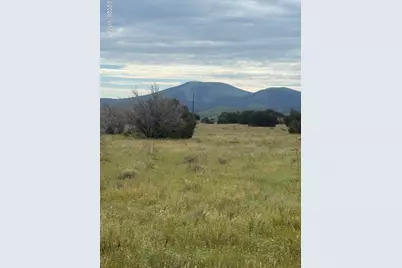 149 County Road 3149, Vernon, AZ 85940 - Photo 1