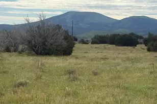 149 County Road 3149, Vernon, AZ 85940 - Photo 1