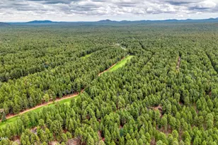 7951 Country Club Dr, Pinetop, AZ 85935 - Photo 36