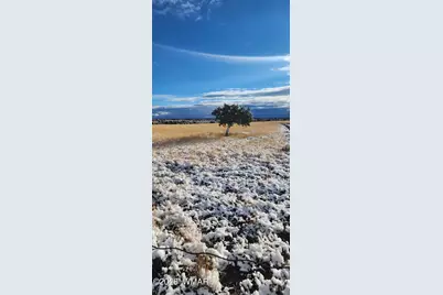 19 N5232, Concho, AZ 85924 - Photo 6