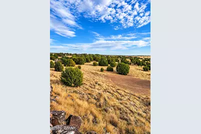 19 N5232, Concho, AZ 85924 - Photo 2