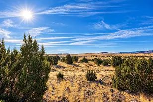 19 N 5232, Concho, AZ 85924 - Photo 1
