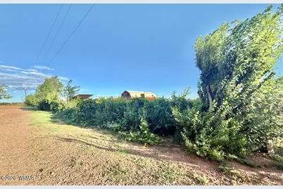 9694 E Concho Highway, Snowflake, AZ 85937 - Photo 34