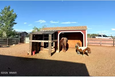 9694 E Concho Highway, Snowflake, AZ 85937 - Photo 36