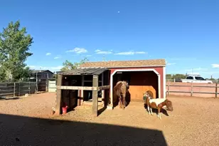 9694 E Concho Hwy, Snowflake, AZ 85937 - Photo 36