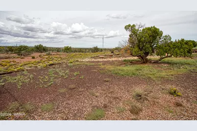 Tbd State Route 180A, Concho, AZ 85924 - Photo 56