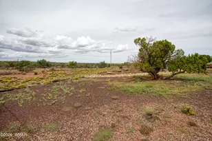 Tbd State Route 180A, Concho, AZ 85924 - Photo 56