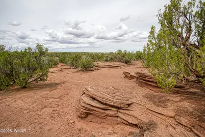 Tbd State Route 180A, Concho, AZ 85924 - Photo 58