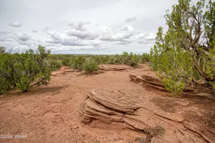 Tbd State Route 180A, Concho, AZ 85924 - Photo 58