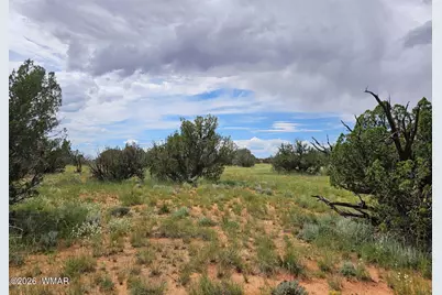1924 Hutch Road, Heber, AZ 85928 - Photo 4