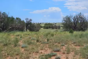 1924 Hutch Rd, Heber, AZ 85928 - Photo 1