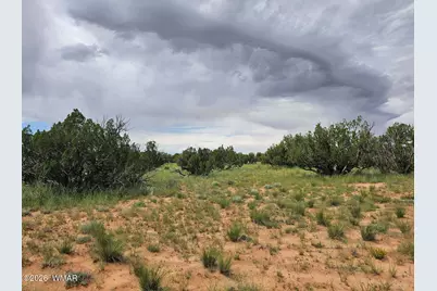 1924 Hutch Road, Heber, AZ 85928 - Photo 8