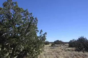 Lot 537 Chevelon Canyon Ranch Lot 537, Heber, AZ 85928 - Photo 1