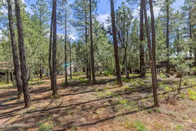 2861 W Young, Show Low, AZ 85901 - Photo 4