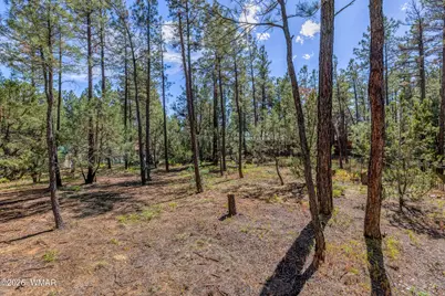 2861 W Young, Show Low, AZ 85901 - Photo 2