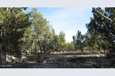 3249 E Aspen Road, Overgaard, AZ 85933 - Photo 2