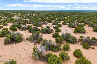 Lot 3 Witch Well Ranches, Saint Johns, AZ 85936 - Photo 1