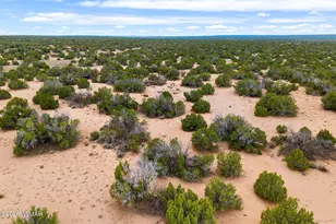 Lot 3 Witch Well Ranches, Saint Johns, AZ 85936 - Photo 1